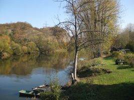 Berounka 2-ostrov v Zadní Třebáni 21.10.08 (3).JPG